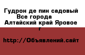 Гудрон де пин садовый - Все города  »    . Алтайский край,Яровое г.